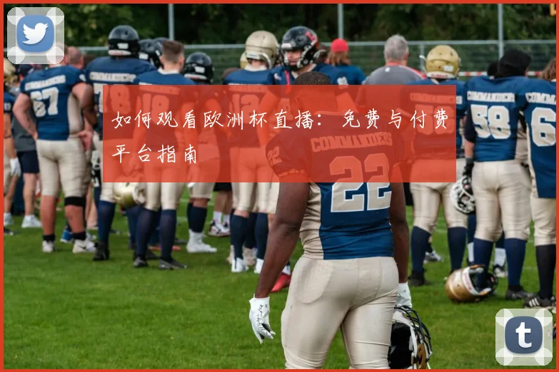 如何观看欧洲杯直播：免费与付费平台指南