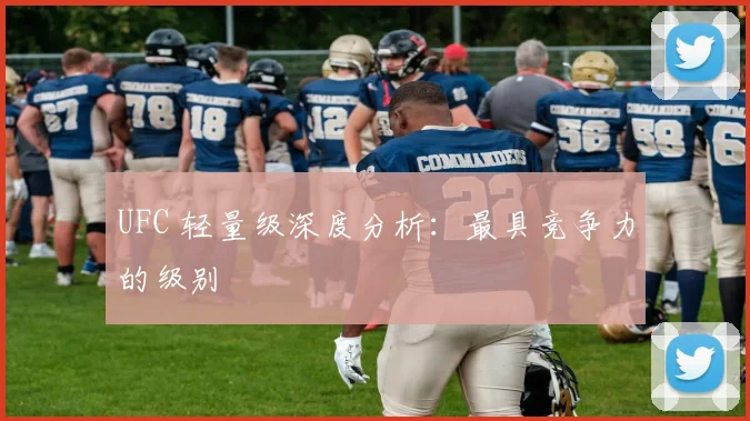 UFC 轻量级深度分析：最具竞争力的级别