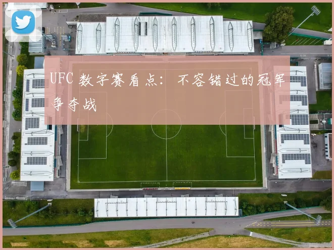 UFC 数字赛看点：不容错过的冠军争夺战