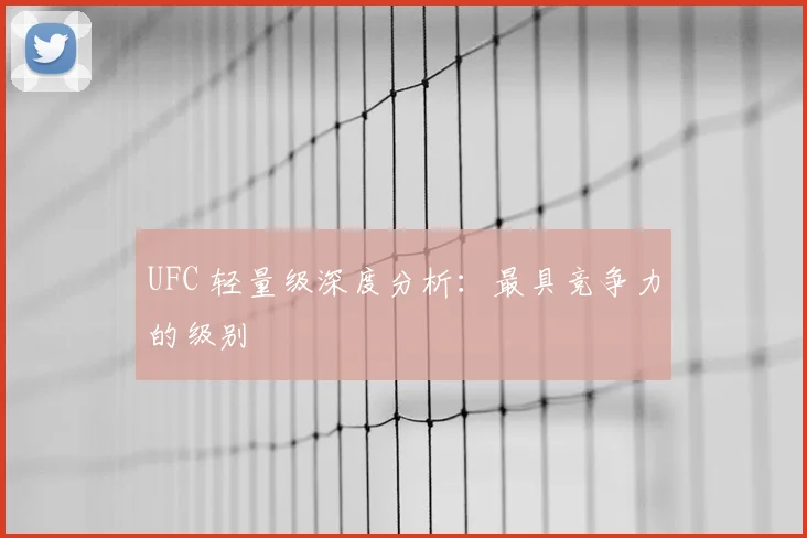 UFC 轻量级深度分析：最具竞争力的级别